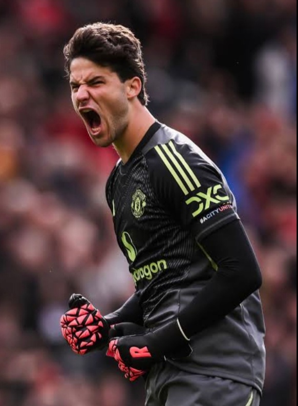 Screenshot_20260402_163342_Google